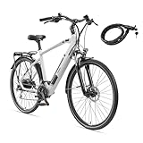 TELEFUNKEN E-Bike Herren Elektrofahrrad Alu 28 Zoll mit 24-Gang Shimano Acera Kettenschaltung, Pedelec Trekkingrad mit Hinterrad-Motor 250W 11,6 Ah, 36V Akku, XC941 Expedition