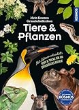 Mein Kosmos Grundschullexikon Tiere & Pflanzen: Mit 300 Tieren & Pflanzen von A bis Z, für neugierige Kinder ab 8 Jahren, mit Extraseiten für das erste Referat – mit Grundschullehrern entwickelt.