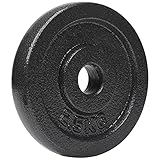 #DoYourFitness Hantelscheiben Gewichtsscheiben, 2,5 kg, 100% Gusseisen, Langhantel Curlhantelstange Hantelstange Kurzhantel in Grau