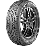 Goodride SW608 (205/55 R16 91H)