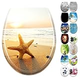 YZNAHRE WC-Sitz Toilettendeckel mit Soft-Close, Duroplast & Edelstahl, Antistatisch & Antibakteriell, Abnehmbar, Leicht zu Reinigen, 45x38 cm, Passend für Hänge-WC, Seestern