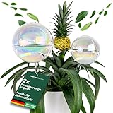 Netrox 2er Set Bewässerungskugeln Glas 400ml,180ml – automatische Pflanzenbewässerung für Pflanzen, Blumen & Garten – ideal im Urlaub – Bewässerung, Bewässerungssystem Topf, Wasserspender