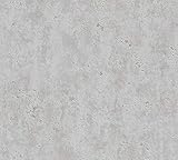 A.S. Création Flavour Vliestapete 10,05 m x 0,53 m in strukturierter Putzoptik - Grau - einfarbige Tapete im Industrial Design Made in Germany - 366004