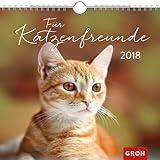 Für Katzenfreunde 2018: Dekorativer Wandkalender mit Monatskalendarium