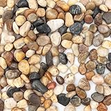 Kisvic Flusskiesel, Deko Steine Kleine, Kieselsteine Polierte zum Basteln Ziersteine Garten 9-13mm für Vasen Pflanzen Garten Landschaftsbau Sukkulenten (450 Gramm)