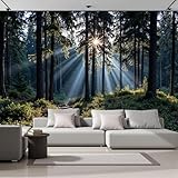 Fototapete Natürliche Waldszene 200×140 Cm - Foto Tapete Schlafzimmer Wohnzimmer Sonnenlicht Das Durch Die Bäume Fällt Wandtapete Motivtapeten 3D Effekt Wand Dekoration - Dunkelgrün