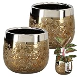 KOTARBAU® Keramik Blumentopf rund Spiegeleffekt ⌀ 10 cm Höhe 11 cm 2 St. Übertopf Blumentopf groß Glamour Blumen Töpfe Pflanzentopf gross Indoor