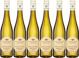 Staatsweingut Freiburg Blankenhornsberg Weißburgunder VDP.Ortswein 2023 Trocken (6 x 0.75 l)