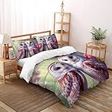 SOJFGSNAJ Two Eules Bettbezug Mädchen Mikrofaser Bettwäsche - Bettbezug Mit Reißverschluss Und 2 Kissenbezug King（220x240cm）