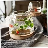 MRKU Glas-Fischglasvase, 3,9 Zoll klares Fischglas mit abnehmbarem Holzsockel, Hydrokultur