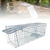 Professionelle Lebendfalle 62x19x21 cm – Stabile Katzenfalle & Marderfalle,Wetterfest & Sicher für Haustiere – Ideal für Waschbär, Fuchs, Ratten