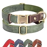 Didog Weich gepolstertes Lederhalsband für mittelgroße Hunde, klassisches Hundehalsband mit Metall-Schnellverschluss, verstellbar, mittelgroß, Kunstleder, grün, M