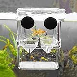 Aquarium Zuchtbox, Fischzuchtbox, Aquarien Aufzuchtbehälter, Garnelen Aufzuchtbecken, Aquarium Brutkasten mit Saugnäpfen für Garnelen, Kleine Fische, Babyfische, Guppys und Clownfische(100x70x130mm)