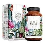 Immunsystem-Komplex - 500mg Echinacea mit Vitamin C Zink Selen L-Histidin & Kalmegh - Immunsystem stärken * vegan & ohne Zusätze - 120 Echinacea Purpurea Kapseln für 60 Tage