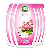 Air Wick Duftgel - Klassisches Duftgel mit reichhaltigem Duft nach zarten Blumen - Duft: Blütenfrisch - 6 x 150g