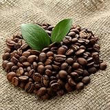 kaffeesamen kaufen samen zimmerpflanzen echt samen kaffee kaffeebohnen samen gartendeko für draußen bonsai tree bäume pflanzen bonsaibaum, pflanzen züchten baumsamen, bonsai samen 85pcs