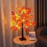 MEDOYOH 24LEDS Ahorn Baum Licht, 60cm/23,62 Zoll Höhe Warmweiß Ahorn Tisch Licht, AA Batterie/USB Betriebene Baumlampe Innen für Weihnachten Party Hochzeit Herbst Deko