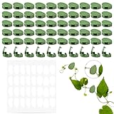Frevoitna 60 Stück Pflanzenclips für Kletterpflanzen, Pflanzenhalter Befestigung Outdoor, Pflanzenklammern Selbstklebend, Wandbefestigung für Pflanzen, Pflanzen Clips Wand, Clips for Climbing Plants
