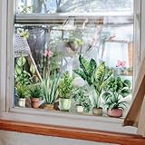 WandSticker4U®- Wiederverwendbare Fensterbilder Frühling selbstklebend ZIMMERPFLANZEN grün (92x38 cm) I Fenstersticker Pflanzen Fensteraufkleber Wohnzimmer Schlafzimmer Küche Fenster Deko Sommer