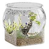 Fischglas-Vase, transparente Aquarium-Fischschalen | Blumenbehälter, Mittelstück für Arbeitsplatz, Zuhause, Wohnzimmer, Badezimmer, Schreibtisch, Wohnheim