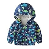 Outwear winddichter Reißverschluss Windjacke Mantel mit Kapuze Kleinkind Cartoon Dinosaurier Kinder Jungen Baby Jungen Mantel Jacke Dicke Jungen