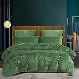 Winter Warme Bettwäsche 135 x 200 Grün Salbeigrün Samt Flauschige Microfleece Flausch Plüsch Kuschelige Teddy Fleece Wende Bettwäsche Set Cashmere Touch Winterbettwäsche und Kissenbezug 80x80 cm