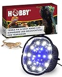 Hobby Terraristik Terra Fix & Easy Nano LED I dimmbare LED-Beleuchtung für Terrarien I Terrarium Lampe mit Einstellbarer Farbtemperatur I Terrarienbeleuchtung für Reptilien, Amphibien und Pflanzen