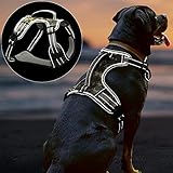 Hundegeschirr für Große Hunde DQGHQME No Pull Reflektierend Weich Gepolstert Geschirr Hund, Anti Zug Sicherheitsgeschirr Hund, Atmungsaktiv Einstellbar Hunde Geschirrset Für Outdoor Kontrolle - XL