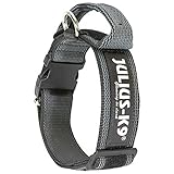 JULIUS K-9 200HA-K-2015 Color & Gray series-K9-Halsband mit Haltegriff, Sicherheitsverschluss und Logo und Sicherheitsverschluss, 50 mm*49-70 cm, verstellbar, schwarz-grau, 50 mm (49-70 cm)