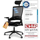 Ergotopia NextBack | Ergonomischer Bürostuhl gegen Rückenschmerzen | Schreibtischstuhl ergonomisch | Zusätzliche Kopfstütze gegen Nackenschmerzen - 5 Jahre Garantie