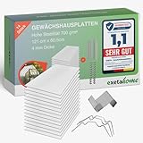 Exeta 14x Gewächshausplatten 4 mm I Polycarbonat Hohlkammerplatten für Gewächshäuser I Set inkl. 50 W-Klammern & 50 Z-Clip I PC Doppelstegplatten bruchsicher I 60,5cm x 121cm I Transparent