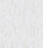 Rasch Tapete 867503 - Helle Tapete mit Putzoptik und Putzstruktur mit feiner Marmorierung in Creme - 10,05m x 0,53m (LxB)