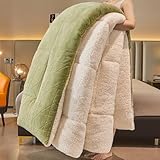 YWQJL Winterbettdecke Federdecke Dicke Bettdecke Warm Winter Plüsch Doppelseitige Steppdecke 150x200 Daunenbettdecke Schlafdecke Ohne Bezug Wolldecke(#3,200x230cm/4kg)