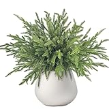 ROLLWAY 6 Stück Norfolk Pine Tannenzweige Künstlich wie echt，46cm Weihnachtszweige Künstliche Zweige Deko Weihnachten Zedernzweig Kiefernzweige, Kunst Tannenzweige Unechte Tannengrün Kunsttanne