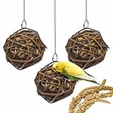 suruikei 3 Stück Kolbenhirse gefüllte Weidenkugel-für Vögel zum Kauen und Klettern – handgefertigt – Vogelkauspielzeug – für Papageien, Wellensittiche, Nymphensittiche, Kakadu (10cm)