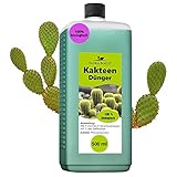 Konfitee Kakteen Dünger Flora Boost 500ml I Für bis zu 100L Gießwasser I Für Kakteen & andere Sukkulenten Pflanzen I Flüssiger Blatt- & Wurzeldünger I 100% natürlicher Pflanzendünger