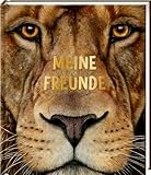 Freundebuch – Meine Freunde: Lebensgroß - Wilde Tiere Afrikas: Das Safari-Freundebuch für Mädchen und Jungen