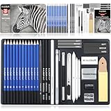 KALOUR PDAS 36-teiliges Zeichenset, Skizzier-Set, Profi-Kunst-Skizzenzubehör, inklusive Tutorial, Graphit, Anthrazit, für Künstler, Erwachsene, Teenager, Anfänger,ideal zum Schattieren
