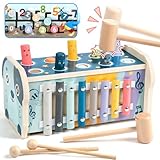 Fajiabao Motorikspielzeug ab 1 Jahr - Montessori Baby Holzspielzeug ab 1 2 Jahr Hammerspiel Xylophon Kinder Kinderspielzeug ab 1 2 Jahre Geschenk für 1 Jahr Mädchen Junge Lernspielzeug Geburtstage