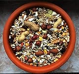 cura-canin 5 kg natürliches Eichhörnchen Futter in Premium Qualität Eichhörnchenfutter der Spitzenklasse Streufutter Futterhaus