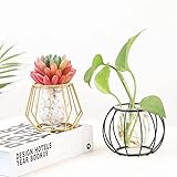 4 Stück Vase 7,6 cm Blumenvasen, große Kristallglasvase, bleifreie, europäische klare Gläservasen für Blumen, Wohnzimmer, Esstischdekoration