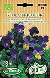 Germisem Stiefmütterchen VIOLA TRICOLOR, ECBIO1191