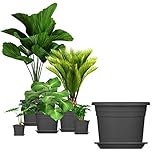 BigDean 5X Blumentopf Ø 20 cm Farbe Anthrazit & Untersetzer Kunststoff Pflanztopf Containertopf Übertopf Pflanzkübel rund 20 x 14,5 cm Blumentöpfe
