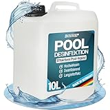 Flotex® Pooldesinfektion 10L - Flüssiges Algizid für Pool I Pool Algenvernichter mit Klareffekt | Algenvernichter Pool | Desinfizierendes Reinigungsmittel gegen Algen
