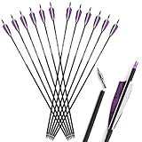 ZSHJGJR Pfeile für Traditionelle Bogenschießen 30 Zoll Bogenpfeile Carbon Pfeile Jagdpfeile Spine 500 Pfeile mit 4'' Befiederung für Recurvebogen Traditionellen Bogen Pfeile Pfeilspitzen (Lila.)