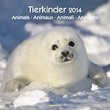 Tierkinder 2014. Broschürenkalender