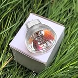 GZ4 Halogen Bulb - Energiesparende GZ4 MR-8 Halogenlampe Für Ihre Wohnräume! Ideal Als Small Headlight Für Exzellente Lichtverhältnisse!(20W/12V)