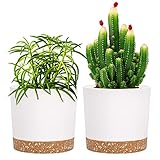 blumentopf 2er Pack 12,7 cm,Bumentöpfe für Zimmerpflanzen mit Entwässerungslöchern und abnehmbarem Boden,Untersetzer Modern Dekorativ für Outdoor Garten Pflanzgefäße(Weiß 12,7 cm)