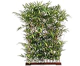 Künstliche Bambushecke 180 x 120cm mit 3200 Blätter UV-Schutz/Sonnenschutz - Künstlicher Bambussichtschutz Bambuspflanze für Drinnen und Draußen