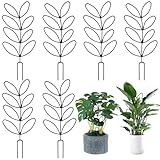6 Stück Rankhilfe für Zimmerpflanzen,Garten Pflanzenstütze,Zimmerpflanzen Rankhilfe,Wiederverwendbarer Pflanzenhalter,für Blumen und Pflanzen,Klein Topfpflanzen Pflanzgitter(12.5 Zoll)